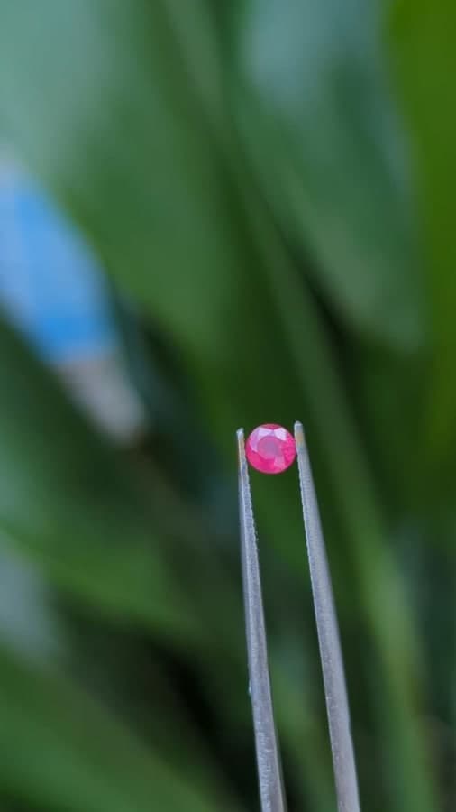 Burma ruby